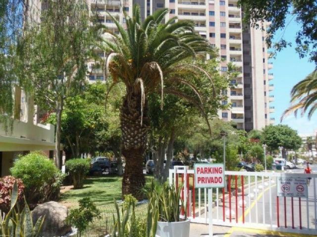 אדחה Ocean House & Perfect For You מראה חיצוני תמונה